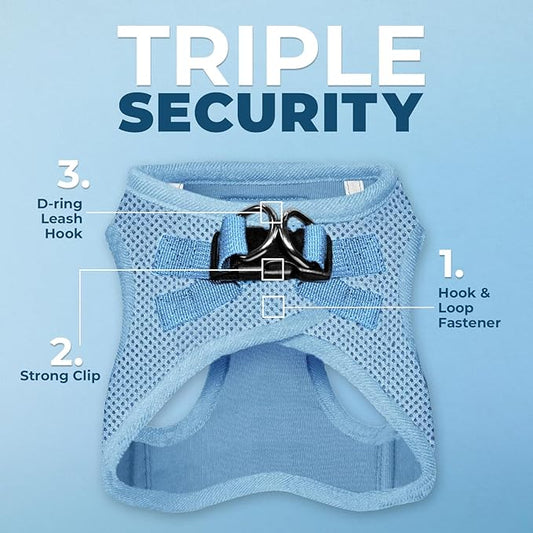 Best Pet Supplies Voyager Step-in Air All Weather Mesh Harness and Reflective Dog 5ft Leash Combo with Neoprene Handle, for Small, Medium and Large Breed Puppies - Set (Baby Blue), XX-Small