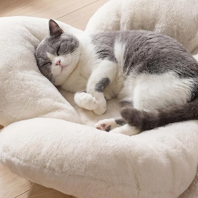 Veehoo Modern Elevated Flower Cat Bed with Washable Fluffy Cushion for Indoor Cats & Small Dogs, Wooden Raised Pet Couch Sofa, Cozy Lounge Chair Suitable for Puppy, Cat Furniture