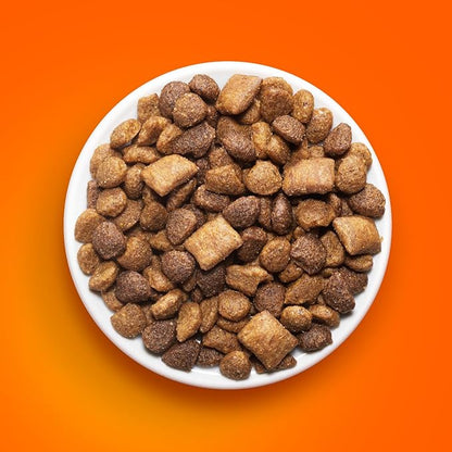 IAMS Healthy Enjoyment Dry Cat Food Chicken & Salmon Recipe, Cat Food Dry Recipe, 15 lb. Bag