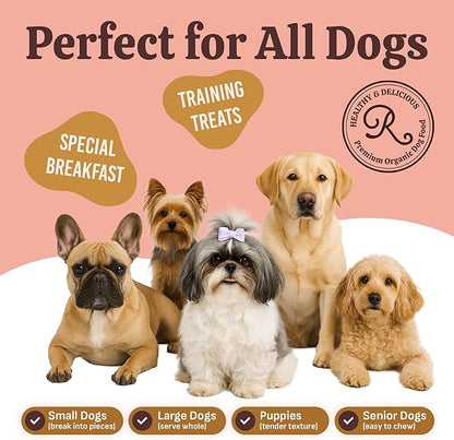 Rondi's Kitchen Organic Dog Pancake Mix - Natural Healthy Treat for All Dogs - Superfood Snack Made with Human-Grade Ingredients - Makes About 38 Pancakes - Chicken & Pumpkin with Bone Broth
