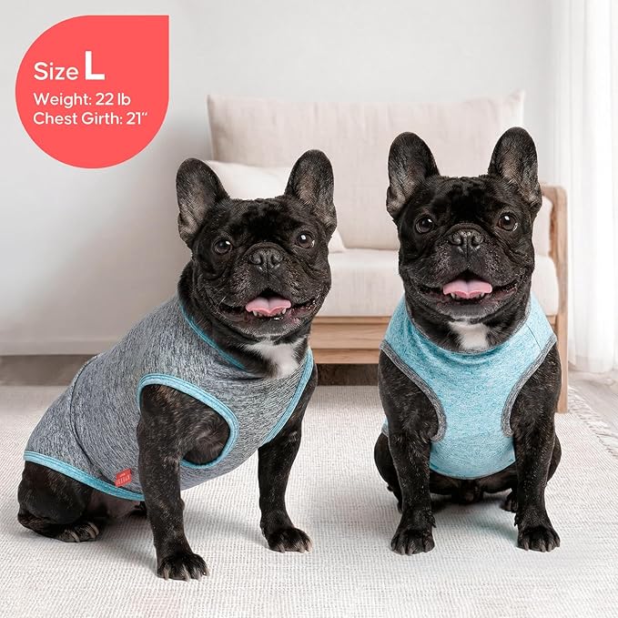 KYEESE 2Pack Dog Shirt, Lightweight Sun Protection Sleeveless Dog T Shirts for Small Dogs Boy, Breathable Puppy Reflective Tank Top Summer Dogs Clothes for Outdoor Walking, Grey+Sky Blue, S