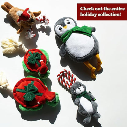 Dog Toys | Winter Plush Toy Turtle Stuffed Animal for Dogs | Medium Eco Friendly Toy - Easy to Clean and Made from Non Toxic Materials