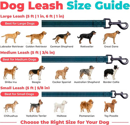 Best Pet Supplies Voyager Reflective Dog Leash or Collar with Neoprene Handle, for Small, Medium, and Large Breed Puppies, Cute and Heavy Duty for Walking, Running and Training - Blue (Leash), M