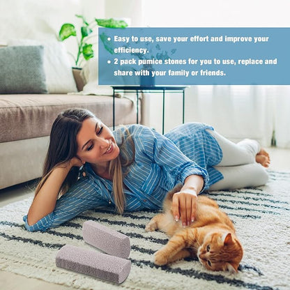 2 Pieces Pet Hair Remover for Cat Hair Removal Pumice Stone Tool Carpet Dog Fur Removal Tool for Car Couch Furniture Bedding Easy to Clean (5.3 Inches)