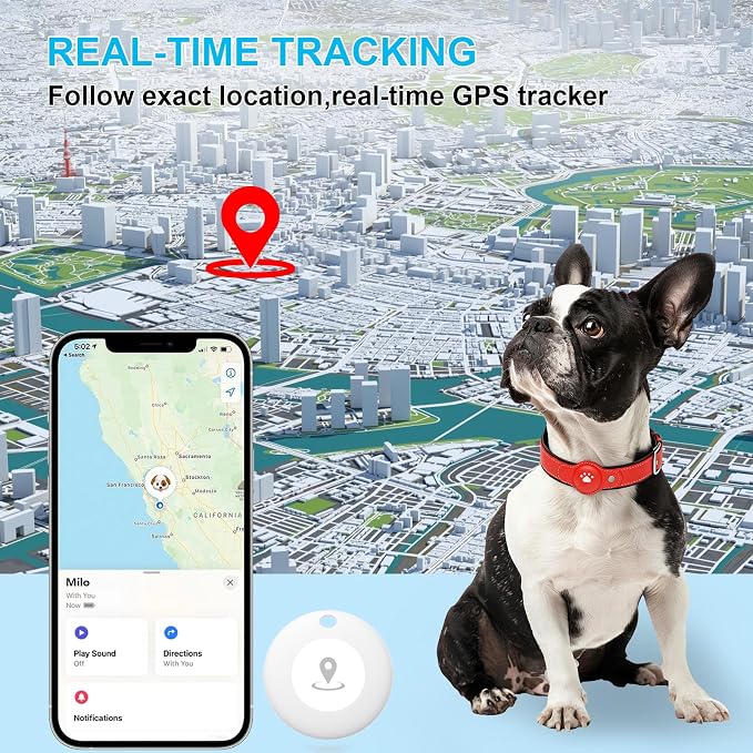 2-in-1 GPS Tracker for Dogs: Smart Pet Collar with Real-Time Tracking,No Monthly Fee/Subscription (iOS Only) Waterproof, Anti-Lost,365-Day Long Battery Life GPS Tracker Dog Collar(Tracker Included)
