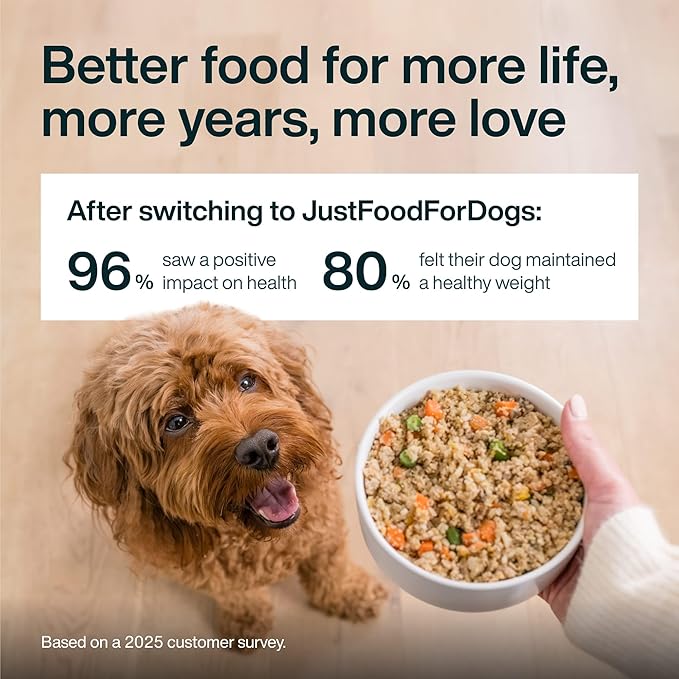 JustFoodForDogs Pantry Fresh Wet Dog Food, Complete Meal or Dog Food Topper, Beef & Potato Human Grade Dog Food Recipe - 12.5 oz (Pack of 12)