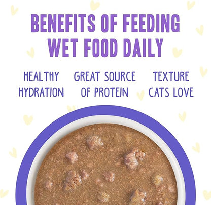 Weruva B.F.F. OMG - Best Feline Friend Oh My Gravy!, Chicken & Beef Be Happy with Chicken & Beef in Gravy, 2.8oz Can (Pack of 12)