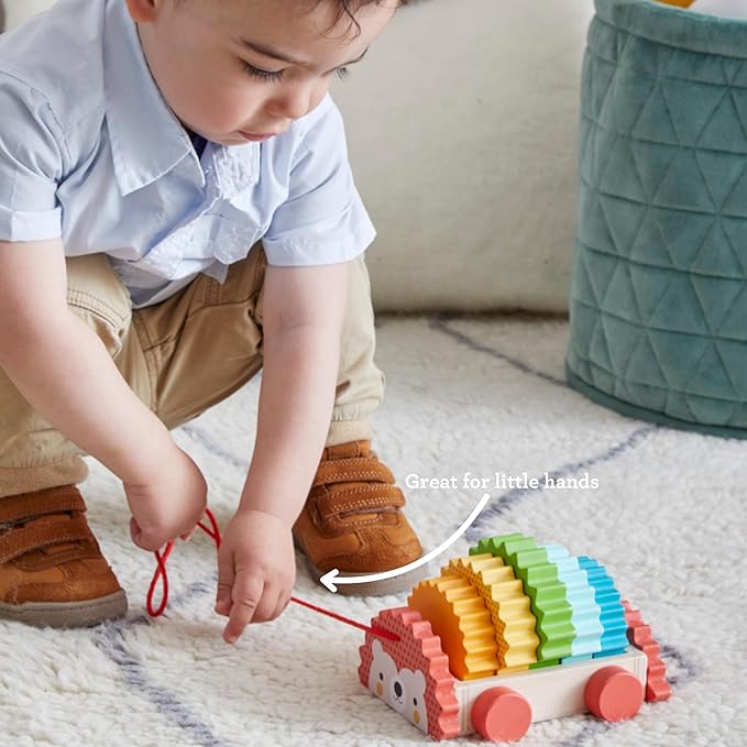 Petit Collage Rainbow Hedgehog Wooden Pull Toy
