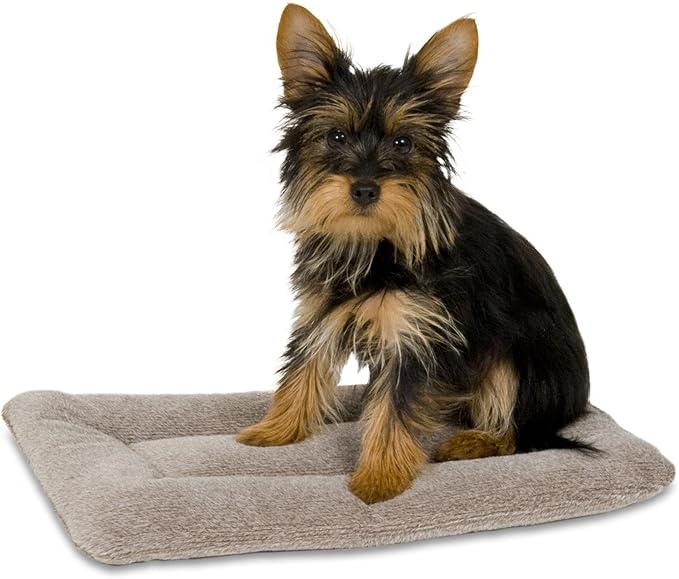 Petmate Aspen Pet Rectangular Kennel Mat, Dark Gray, for 19' Crates (Pack of 2)