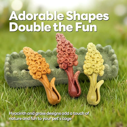 TEEWY 4PCS Guinea Pig Chew Toys, Prevent Teeth Overgrowth, Natural Timothy Grass & Vegetables, Hamster Toys, Guinea Pig Toys, Chinchilla Toys, Grass Patch & Hyacinth