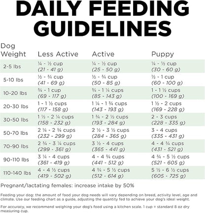 Go! Solutions Skin + Coat Care Turkey Dry Dog Food with Grains, Chicken-Free, Healthy Kibble with Omega-3s & 6s for Soft, Shiny Fur, for Puppies, Adults, & Seniors, 22 lb Bag