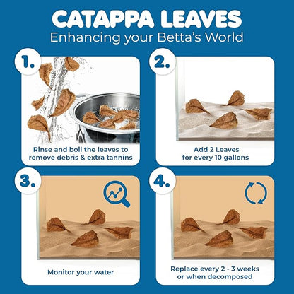 SunGrow 50 pcs Catappa Indian Almond Leaves – 2” Water Conditioner for Betta Fish Tank, Aquarium Leaf for Fish Breeding, Shrimp, Goldfish, Guppy & Frogs