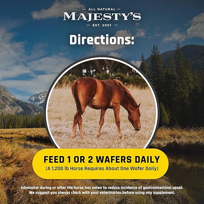 Majesty's Flex XT Wafers - Superior Horse/Equine Joint Support with Increased Supplement Levels - Glucosamine, MSM, Yucca, Vitamin C (Peppermint, 2 Pack (120 Count Total))