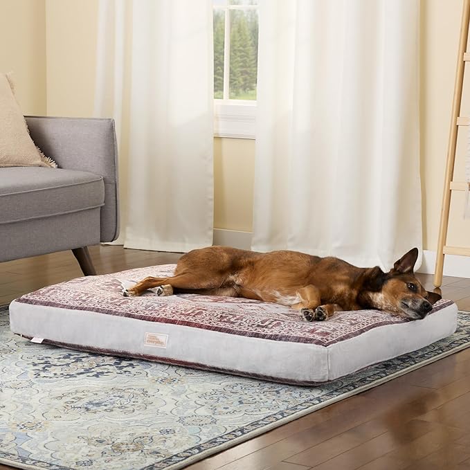 Town & Country Everyday CuddleTown Medallion Everwash® Pillow Pet Bed, Water Repellent Floor Pillow, Machine Washable Cover, Soft & Calming, Red/Greige, Large 44"x34"x4"