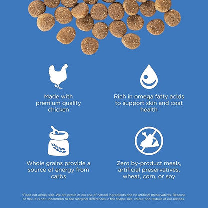 Go! Solutions Skin + Coat Care Chicken Dry Dog Food with Grains, Healthy Kibble with Omega-3s & 6s for Soft, Shiny Fur, for Puppies, Adults, & Seniors, 22 lb Bag