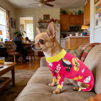 2PCS Dog Pajamas for Small Doggie Pjs Puppy Onesies Outfits Pet Jammies Boy Girl Male Female Apparel Toucan Bee Pattern Soft Lightweight Stretch Clothing S