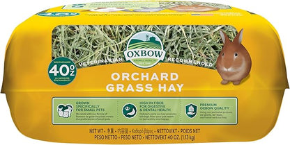 Oxbow Orchard Grass Hay for Small Pets – All-Natural Long Strand Fiber Hay for Rabbits,Guinea Pigs,Chinchillas,and Hamsters – Supports Digestive Health and Enrichment-– 40 oz Bag,(Pack of 2)