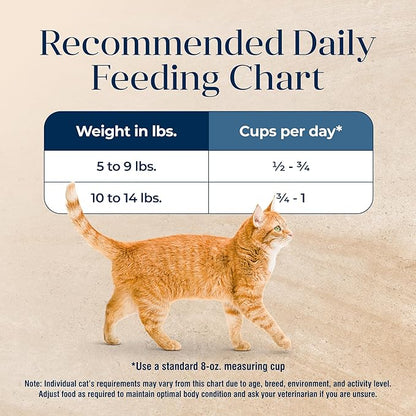 Blue Buffalo Basics Grain-Free Dry Cat Food, Skin & Stomach Care, Limited Ingredient Diet for Indoor Cats, Fish & Potato Recipe, 11-lb Bag