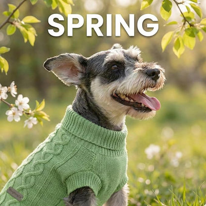 Dog Pullover Sweater, Warm Dog Clothes for Chihuahua, Bulldog, Dachshund, Pug, Yorkie, Dog Outfits for Small Dogs Medium Dogs (Green L)