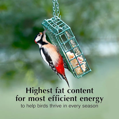 C&S Mealworm Suet Treat, Suet Cakes for Wild Birds, 11 Ounces