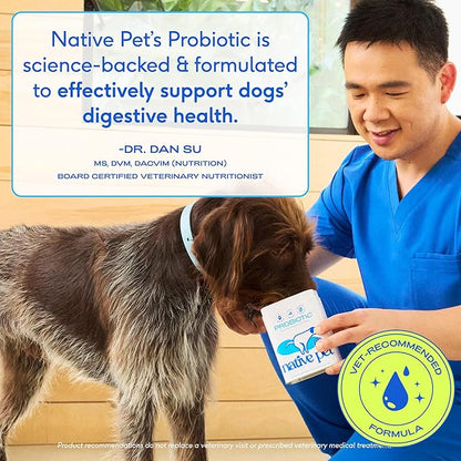 Native Pet Probiotics for Dogs – Dog Probiotic Powder for Gut & Digestive Health, Vet-Formulated 6B CFUs Dog-Specific Probiotic Strains, Supports Stool Quality & Diet Transitions – 30 Scoops