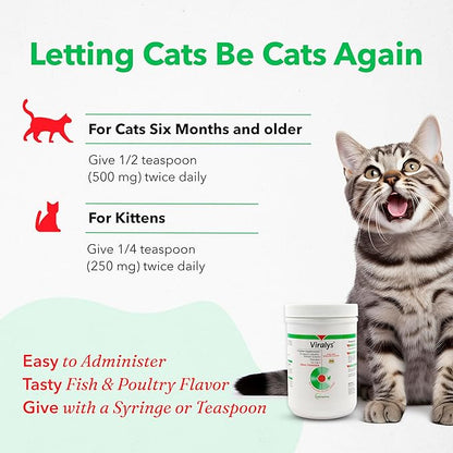 Vetoquinol Viralys - Lysine Supplement for Cats & Kittens - Supports Eye Wellness, Respiratory Health & Immune Strength - Flavored Oral Powder for Easy Feeding & Daily Use - 600 Grams