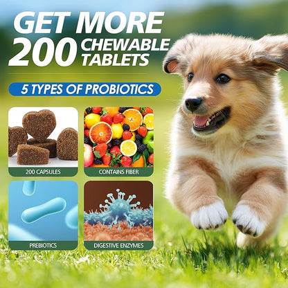 Probiotics for Dogs Gut Health, Digestion, Immunity, Relieve Diarrhea, Dog Probiotics Chews with Digestive Enzymes and Prebiotics, 200 Tablets (Chicken)