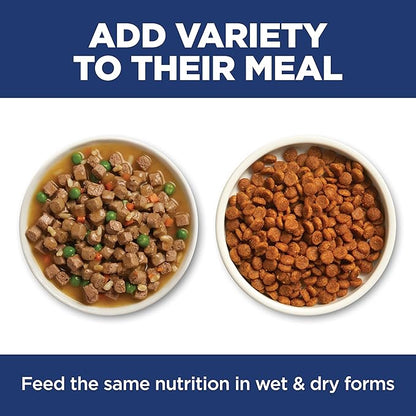 Hill's Science Diet Adult Sensitive Stomach & Skin Dry Cat Food, Pollock Meal & Barley Recipe, 6 lb. Bag (Updated Formula)
