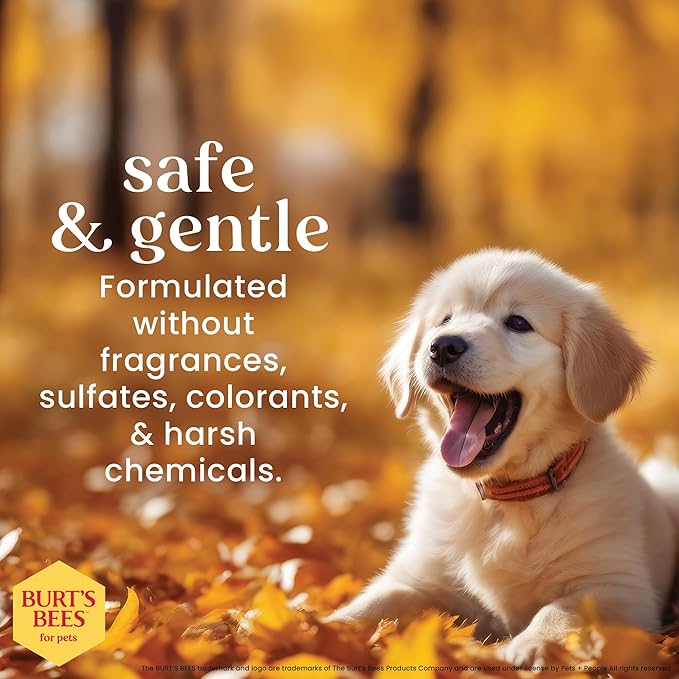 Burt's Bees for Pets Tearless Puppy Shampoo with Buttermilk and Flaxseed Oil, Gentle Dog Shampoo for Puppies 8+ Weeks, Fragrance Free Coat Cleanser with 95% Natural Origin Formula, 16 Fl Oz