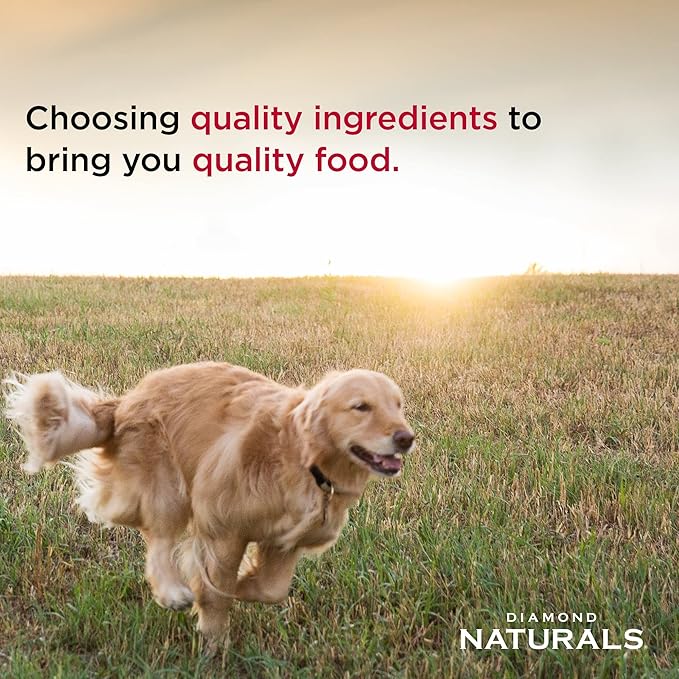 Diamond Naturals Large Breed Adult Dry Dog Food Lamb Meal and Rice Formula with Protein from Real Lamb, Probiotics and Essential Nutrients to Support Balanced and Overall Health in Adult Dogs 40lb