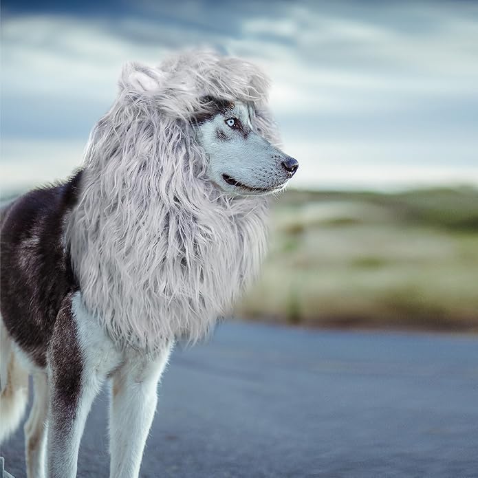 Onmygogo Lion Mane Wig for Dogs with Ears, Funny Pet Costumes for Halloween Christmas