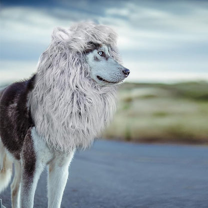 Onmygogo Lion Mane Wig for Dogs with Ears, Funny Pet Costumes for Halloween Christmas