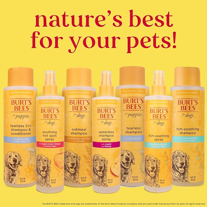 Burt's Bees for Pets Anti Itch Dog Spray with Honeysuckle and Honey, Waterless Grooming Mist for Dry Flaky Skin, Dog Itch Relief Between Baths, Natural Origin Coat Care for Dogs, 10 Fl Oz - 6 Pack
