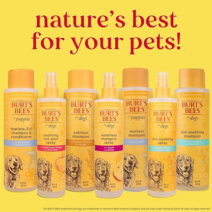 Burt's Bees for Pets Anti Itch Dog Spray with Honeysuckle and Honey, Waterless Grooming Mist for Dry Flaky Skin, Dog Itch Relief Between Baths, Natural Origin Coat Care for Dogs, 10 Fl Oz - 6 Pack