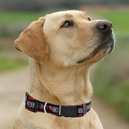 New & Improved Pets First NBA PET Collar Chicago Bulls Dog Collar, Size Medium Basketball Team Collar for Dogs & Cats. A Shiny & Colorful Dog & Cat Collar Licensed by The NBA