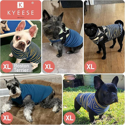 KYEESE 2Pack Dog Sweater Pullover Dog Sweaters for Small Dogs Male Warm Pet Coats Stretchy Pets Clothes Soft Pet Sweatshirt Turtleneck Dogs Clothes