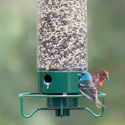 Droll Yankees Squirrel Proof Bird Feeders for Outdoors - YF-M - Flipper, Collapsible Perches, 5-Pound Seed Capacity, Green