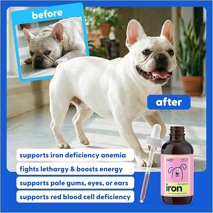 Taily AminoPets Liquid Iron Supplements for Dogs, Cats | Supports Anemia, Low Enery Levels and Lethargy | For Dogs, Puppies, Cats, and Kittens - Made in USA