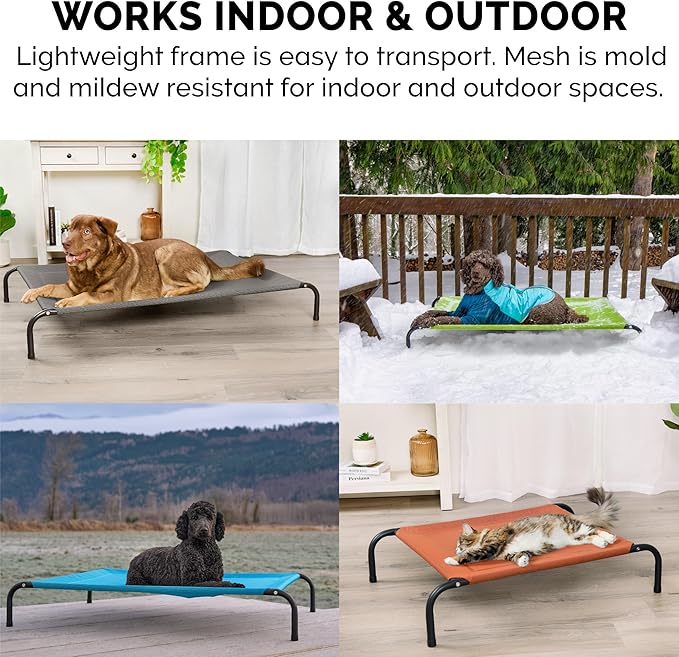 FurHaven Elevated Pet Cots - Cooling & Breathable Nylon Mesh Hammock for Dogs/Easy-to-Assemble / / Durable and Reinforced/Perfect for Rest & Relaxation Outdoors - Graphite Gray, Medium
