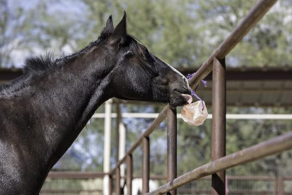Horsemen's Pride 100% Himalayan Salt Block on Rope for Horses,7.5 Pounds