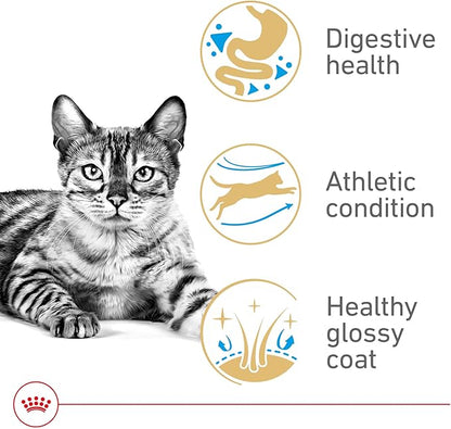 Royal Canin Feline Breed Nutrition Bengal Adult Dry Cat Food, 7 lb Bag