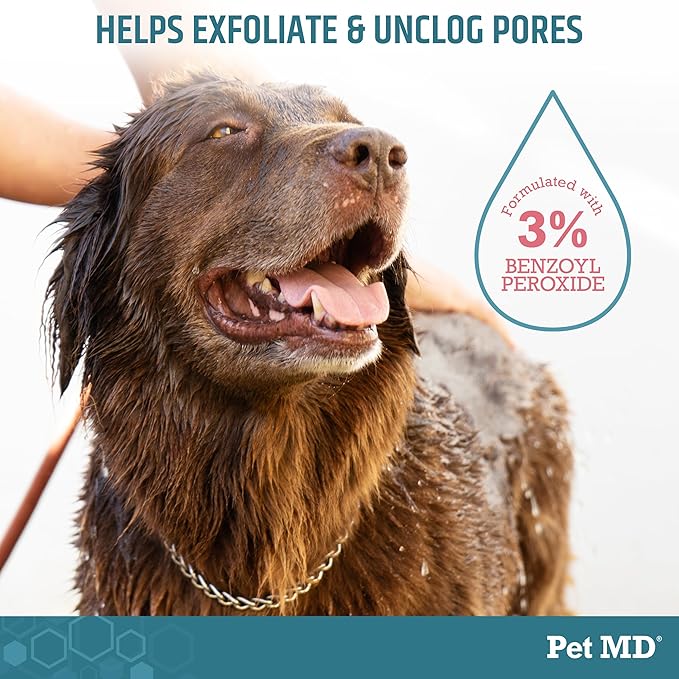 Pet MD Benzoyl Peroxide Shampoo for Dogs and Cats – Helps Relieve Itchy, Oily & Flaky Skin – Deep Cleansing & Deodorizing Formula – Scented – 12 oz