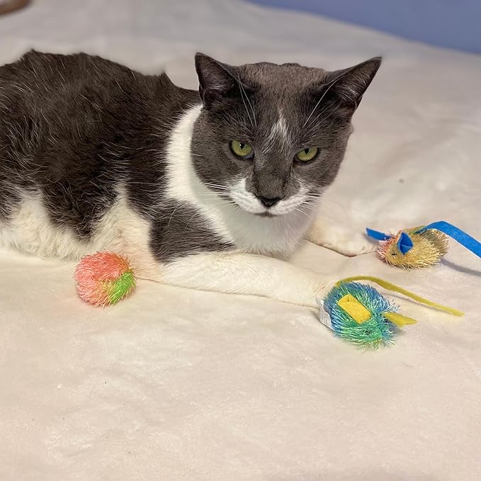 SPOT Stringy Mice & Balls - Catnip Cat Toys, Interactive, Colorful Plush Toys, Fun for Cats and Kittens to Bat and Chase, Boredom Buster - 2 Mice, 2 Balls