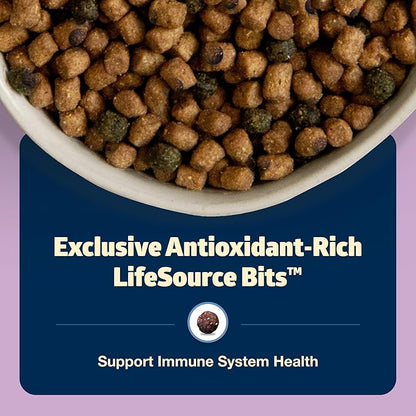Blue Buffalo Freedom Grain-Free Indoor Dry Kitten Food with DHA, Complete & Balanced Nutrition for Kittens, Chicken Recipe, 5-lb. Bag