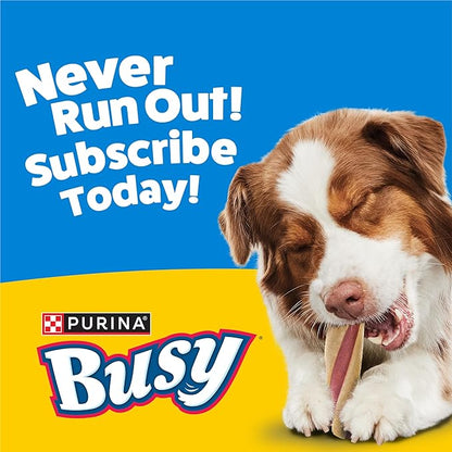 Purina Busy with Beggin’ Twist’d Adult Dog Chew Bone Treats - (Pack of 6) 2 ct. Pouches