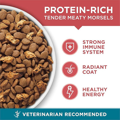 Purina ONE Natural Dry Cat Food, Tender Selects Blend with Real Salmon - 22 lb. Bag