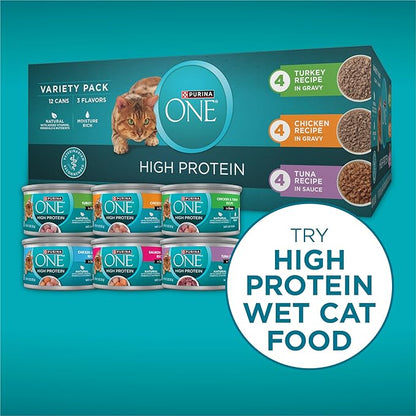 Purina ONE Plus High Protein Cat Food Dry Salmon and Ocean Whitefish Cat Skin and Coat Health Formula - 7 lb. Bag