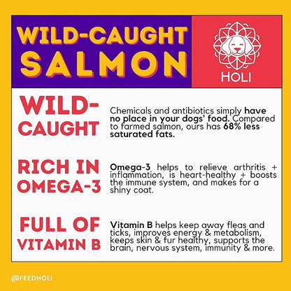HOLI Freeze Dried Salmon Dog Food Topper - with Omega 3 & 6 - Single Ingredient, Human-Grade Wild Caught Salmon - Dog Food Flavor Enhancer for Picky Dogs – 100% All Natural - 6oz