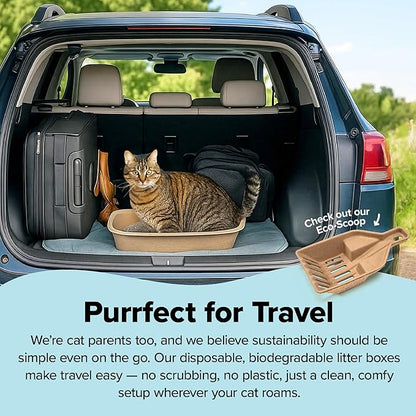 Kitty Sift (Set of 2 Litter Boxes & 1 Sifting Liner) Disposable Sifting Cat Litter Box Jumbo, 3 Count, Durable and Portable for Travel with Odor Control