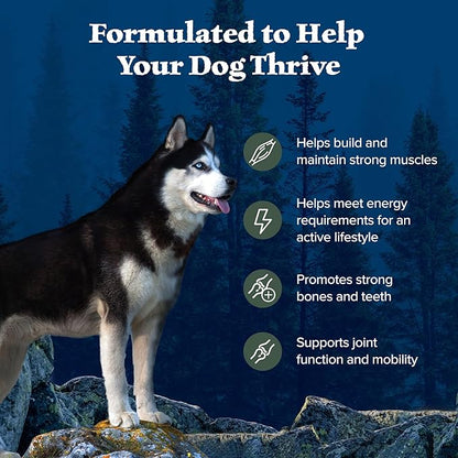 Blue Buffalo Wilderness Natural High-Protein Dry Food for Adult Dogs, with Wholesome Grains, Duck, 24-lb Bag.